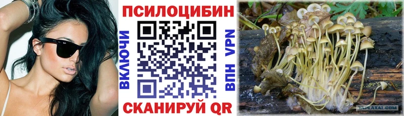 Псилоцибиновые грибы прущие грибы Стрежевой